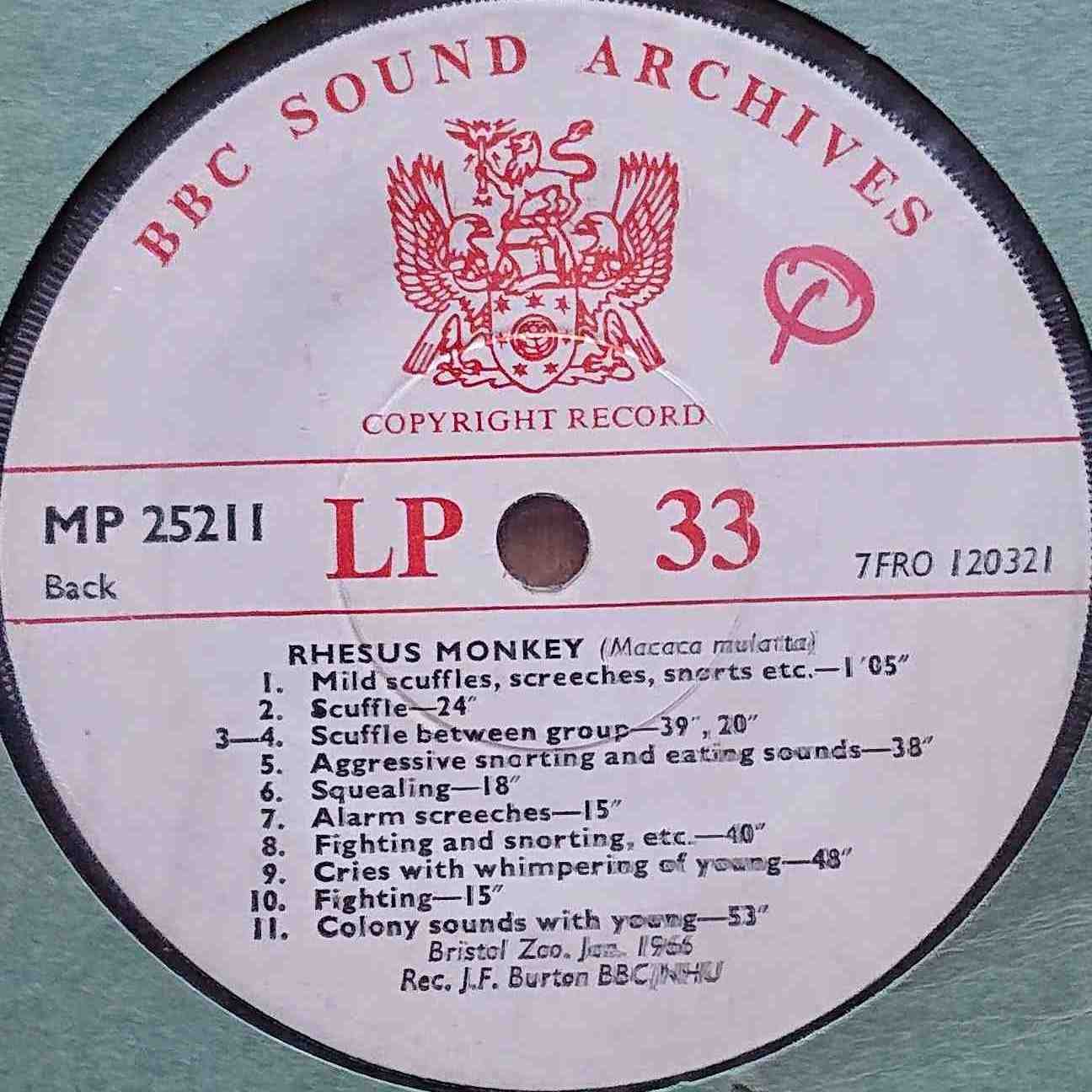 MP 25211 Rhesus Monkey, Leopard, Tiger, New Forest Pony Not registered from the BBC records and Tapes library Label